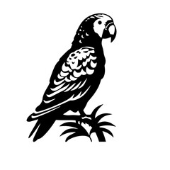 parrot silhouette illustration 