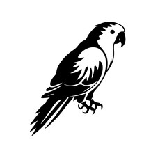parrot silhouette illustration 