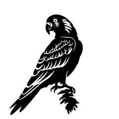 parrot silhouette illustration 