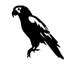 parrot silhouette illustration 