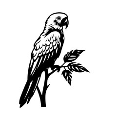 parrot silhouette illustration 