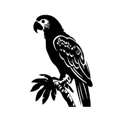 parrot silhouette illustration 