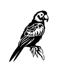 parrot silhouette illustration 