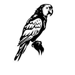 parrot silhouette illustration 