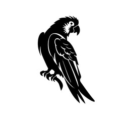 parrot silhouette illustration 