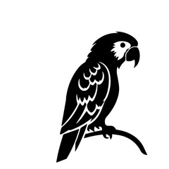 parrot silhouette illustration 