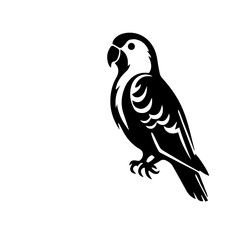 parrot silhouette illustration 