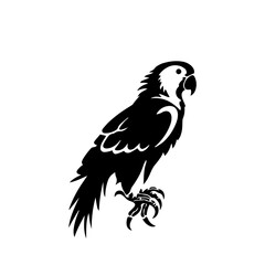 parrot silhouette illustration 