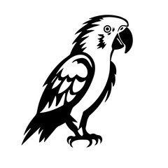 parrot silhouette illustration 