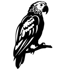 parrot silhouette illustration 