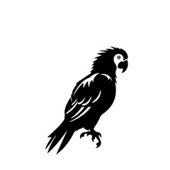 parrot silhouette illustration 