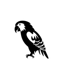 parrot silhouette illustration 