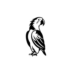 parrot silhouette illustration 