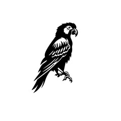 parrot silhouette illustration 