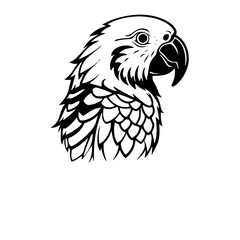 parrot silhouette illustration 