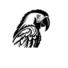 parrot silhouette illustration 