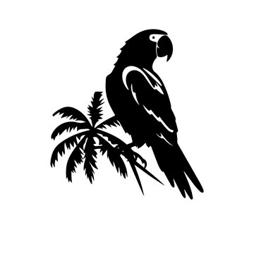 black parrot perched on palm tree clip art preview