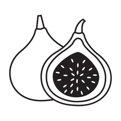 Fig vector outline icon. Vector illustration slice fruit on white background. Isolated outline illustration icon