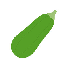 Zucchini icon isolated on white background Vector illustration.
