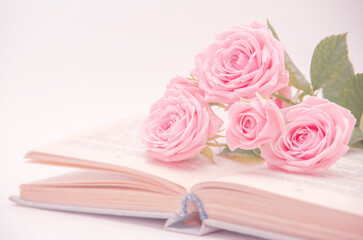 Roses and old book. Toned image