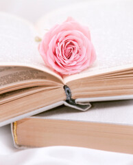 Roses and old book background