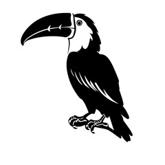 toucan silhouette illustration 