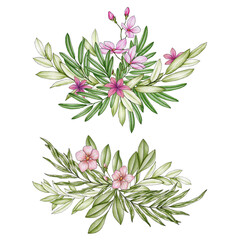 Bouquets with pink flowers on white background