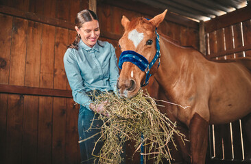 Woman, hay and feeding horse in stable, barn and rancher of farming animals in sustainable shed....