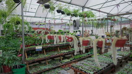 Tracking shot of a Horticulture Store in motion. Flower Shop gardening isles interior