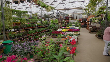 Vibrant and Colorful Local Flower Shop, Interior View of Horticulture and Gardening Retail Store