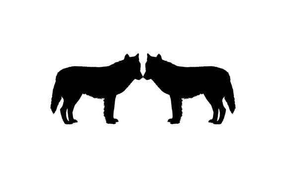 Pair Wolf Silhouette for Logo Type, Art Illustration, Pictogram, Website, Apps or Graphic Design Element. Vector Illustration