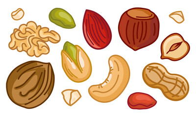 A set of nuts and seeds on a white background. Nuts almonds, hazelnuts, pistachios, walnuts, cashews, peanuts. Healthy eating. Snack.