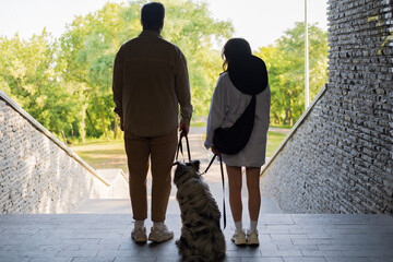 Two people with a dog on the leash outdoors, backs to camera. Walking with dog, young couple and their pet in the park
