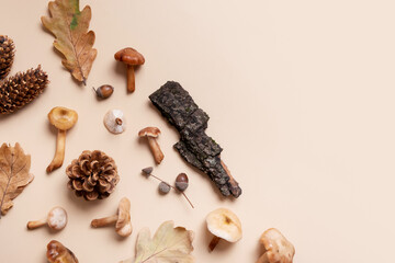 Pumpkin, mushrooms and autumn leaves on beige background. Autumn still life