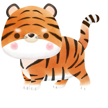 cute little tiger watercolor international tiger day illustration element