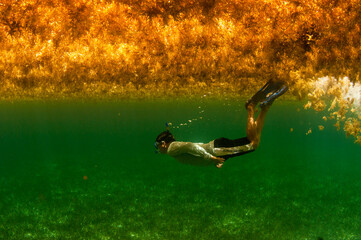 Snorkeling under Sargassum seaweed