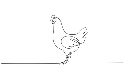 Continuous line art or One Line drawing of chicken for vector illustration, business farming. chicken pose concept. graphic design modern continuous line drawing