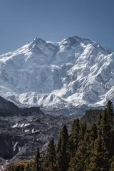 Papier Peint photo Nanga Parbat Nanga Parbat is the ninth highest mountain in the world at 8,126 meters, from Fairy Meadows,Gilgit-Baltistan, Pakistan,