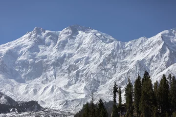 Crédence de cuisine en verre imprimé Nanga Parbat Nanga Parbat is the ninth highest mountain in the world at 8,126 meters, from Fairy Meadows,Gilgit-Baltistan, Pakistan,