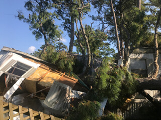 Mangled mobile homes from Mississippi tornado