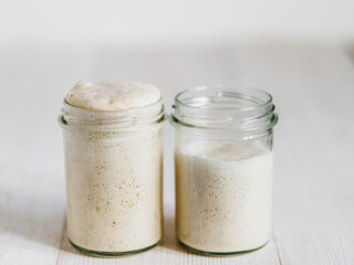 Two glass jars with wheat sourdough starters in different hydration levels. Starter 100 percent hydration - left and starter with higher hydration - right. Copy space