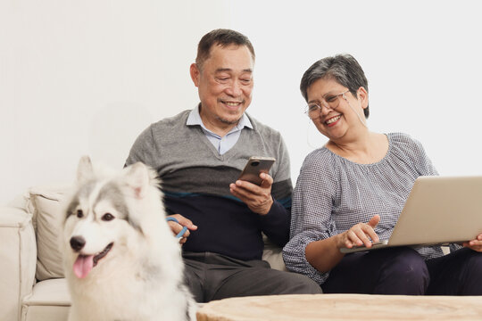 Happy smile Asian elderly couple sit in living room with Siberian Huggy dog pet, mature woman use laptop computer while retired man use mobile phone, senior lover relaxe at home, retirement lifestyle.