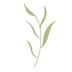 Fototapeta premium Flower