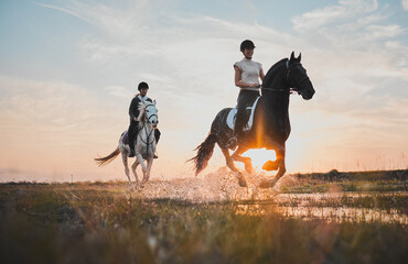 Adventure, girl and horse riding with sunset or water for holiday with bonding on field. Animal,...