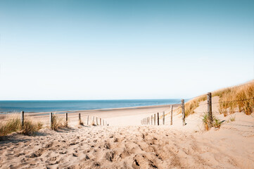 Sandy dunes on the beach in Noordwijk, Netherlands