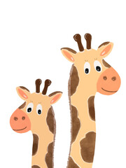 two giraffes on a white background