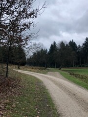 road in the countryside