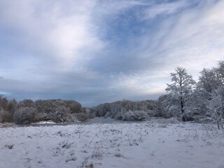 winter landscape with trees
