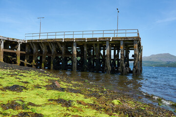 Bootsanleger hinter leuchtend grünen Algen in einem Fjord bei Ebbe