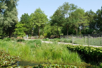 Fototapeta na wymiar Botanischen Garten in Bremen
